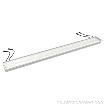 Hocheffizientes LED-Hallenlicht